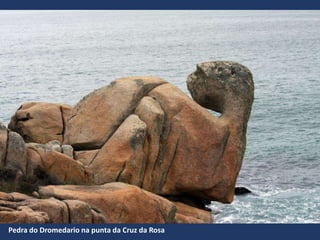 Pedra do Dromedario na punta da Cruz da Rosa
 