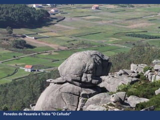 Penedos de Pasarela e Traba “O Ceñudo”
 