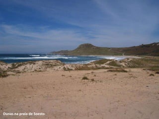 Dunas na praia de Soesto
 