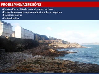 PROBLEMAS/AGRESIÓNS
-Construcións na liña de costa, dragados, recheos
-Presión humana nos espazos naturais e sobre as especies
-Especies invasoras
-Contaminación
 