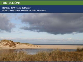 PROTECCIÓNS
-LIC/ZEC e ZEPA “Costa da Morte”
-PAISAXE PROTEXIDA “Penedos de Traba e Pasarela”
 