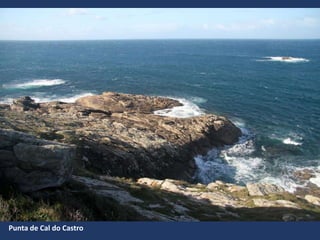 Punta de Cal do Castro
 