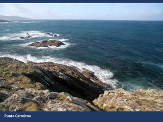 Punta Carreiroa
 