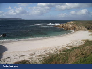 Praia do Arnado
 