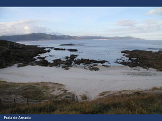 Praia de Arnado
 