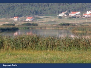 Lagoa de Traba
 