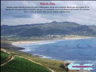 Playa de Traba   Amplia playa abierta al mar de casi 3 kilómetros, tiene un complejo dunar que la separa de la laguna de un gran valor ecológico, ya que se convierte en el ecosistema apropiado de muchas aves, como la garza real, en sus largas migraciones.  