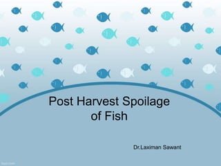 Post Harvest Spoilage
       of Fish

              Dr.Laximan Sawant
 