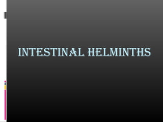 IntestInal helmInths
 