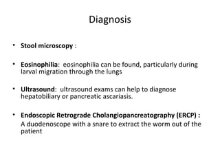 Diagnosis

• Stool microscopy :

• Eosinophilia:  eosinophilia can be found, particularly during 
  larval migration through the lungs

• Ultrasound:  ultrasound exams can help to diagnose 
  hepatobiliary or pancreatic ascariasis.  

• Endoscopic Retrograde Cholangiopancreatography (ERCP) :
  A duodenoscope with a snare to extract the worm out of the 
  patient
 