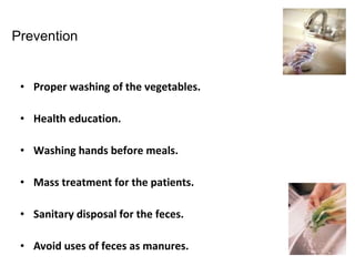 Prevention


 • Proper washing of the vegetables.

 • Health education.

 • Washing hands before meals.

 • Mass treatment for the patients.

 • Sanitary disposal for the feces.

 • Avoid uses of feces as manures.
 