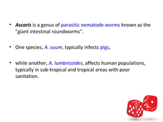 • Ascaris is a genus of parasitic nematode worms known as the 
  "giant intestinal roundworms". 

• One species, A. suum, typically infects pigs, 

• while another, A. lumbricoides, affects human populations, 
  typically in sub-tropical and tropical areas with poor 
  sanitation.
 