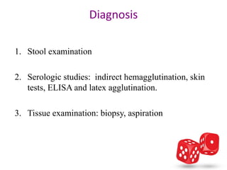 Diagnosis

1. Stool examination

2. Serologic studies: indirect hemagglutination, skin
   tests, ELISA and latex agglutination.

3. Tissue examination: biopsy, aspiration
 