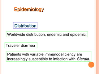 Epidemiology


    Distribution
Worldwide distribution, endemic and epidemic.

Traveler diarrhea

Patients with variable immunodeficiency are
increasingly susceptible to infection with Giardia.
 