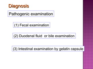 Diagnosis
Pathogenic examination

  (1) Fecal examination


  (2) Duodenal fluid or bile examination


  (3) Intestinal examination by gelatin capsule
 
