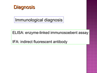Diagnosis

 Immunological diagnosis

ELISA: enzyme-linked immunosoebent assay

IFA: indirect fluorescent antibody
 