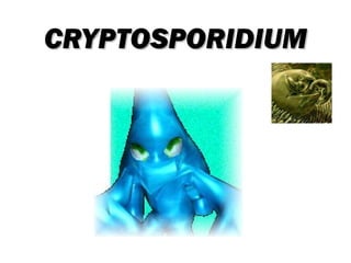 CRYPTOSPORIDIUM
 