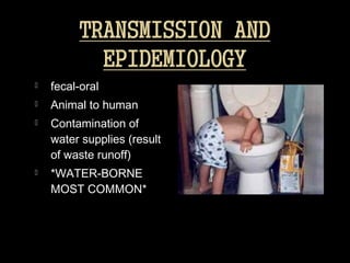   fecal-oral
   Animal to human
   Contamination of
    water supplies (result
    of waste runoff)
   *WATER-BORNE
    MOST COMMON*
         COMMON
 