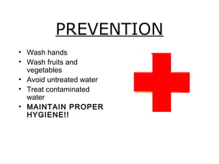 PREVENTION
• Wash hands
• Wash fruits and
  vegetables
• Avoid untreated water
• Treat contaminated
  water
• MAINTAIN PROPER
  HYGIENE!!
 