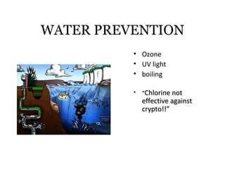 WATER PREVENTION
          • Ozone
          • UV light
          • boiling

          •   “Chlorine not 
              effective against 
              crypto!!”
 