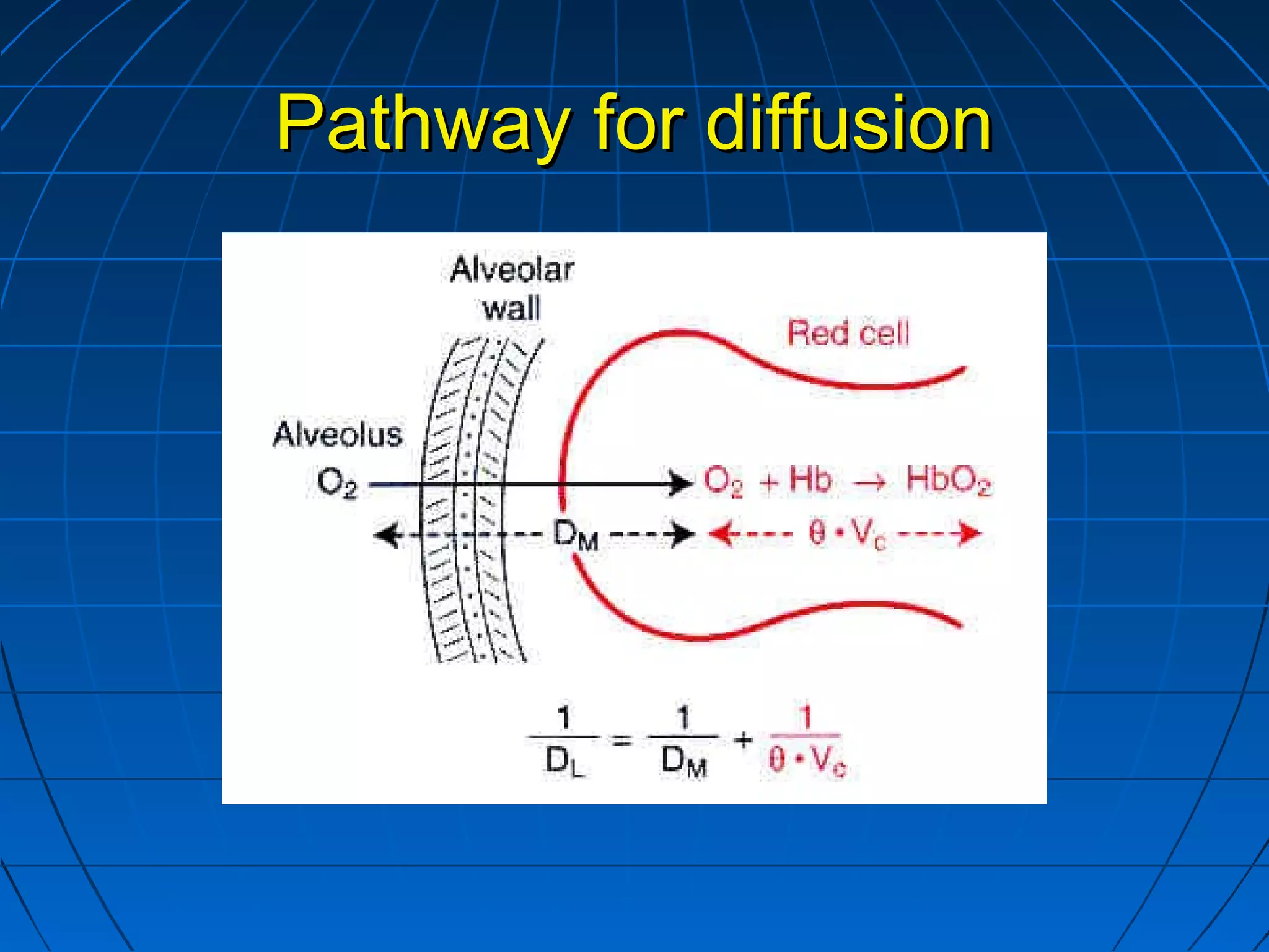 Pathway for diffusionPathway for diffusion
 