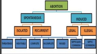 Abortion | PPTX