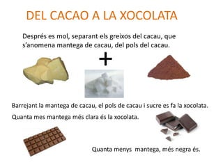 DEL CACAO A LA XOCOLATA
    Després es mol, separant els greixos del cacau, que
    s’anomena mantega de cacau, del pols del cacau.

                                +
Barrejant la mantega de cacau, el pols de cacau i sucre es fa la xocolata.
Quanta mes mantega més clara és la xocolata.



                              Quanta menys mantega, més negra és.
 
