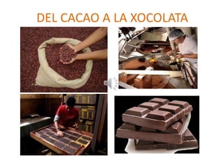 DEL CACAO A LA XOCOLATA
 