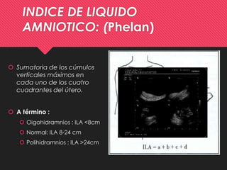 Ila Normal Líquido amniótico y alteraciones | PPTX
