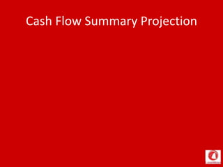 Cash Flow Summary Projection
 