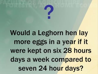 Would a Leghorn hen lay
 more eggs in a year if it
were kept on six 28 hours
days a week compared to
  seven 24 hour days?
 