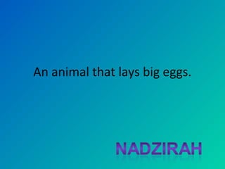 An animal that lays big eggs.
 