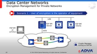 Layer 1 Encryption in WDM Transport Systems