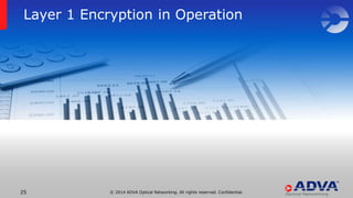 Layer 1 Encryption in WDM Transport Systems
