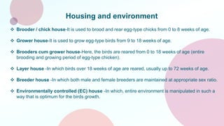 Layer breeder management by Dr.Nikhil Nalabale | PPTX