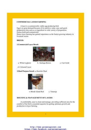 A Begineers Guide to Poultry Layer Farming | PDF