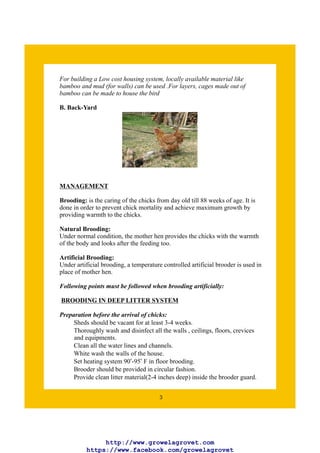 A Begineers Guide to Poultry Layer Farming | PDF