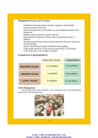 A Begineers Guide to Poultry Layer Farming | PDF