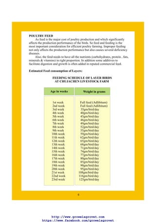 A Begineers Guide to Poultry Layer Farming | PDF