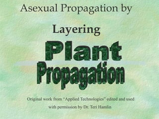 Asexual Propagation by

              Layering




 Original work from “Applied Technologies” edited and used
            with permission by Dr. Teri Hamlin
 