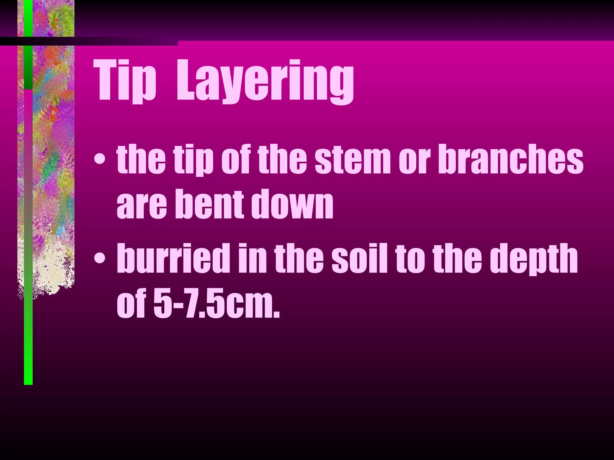 Layering | PPT