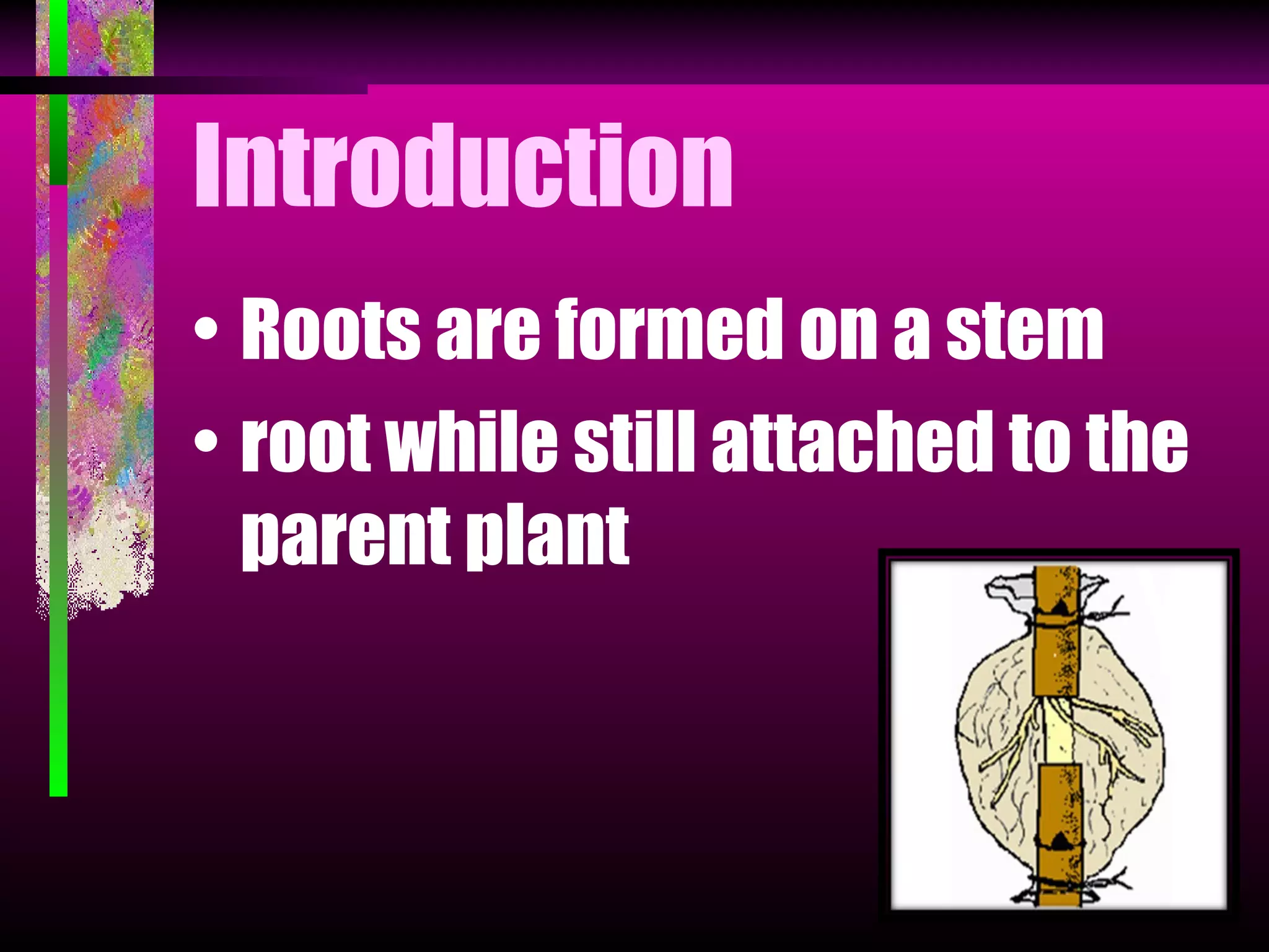 Layering | PPT