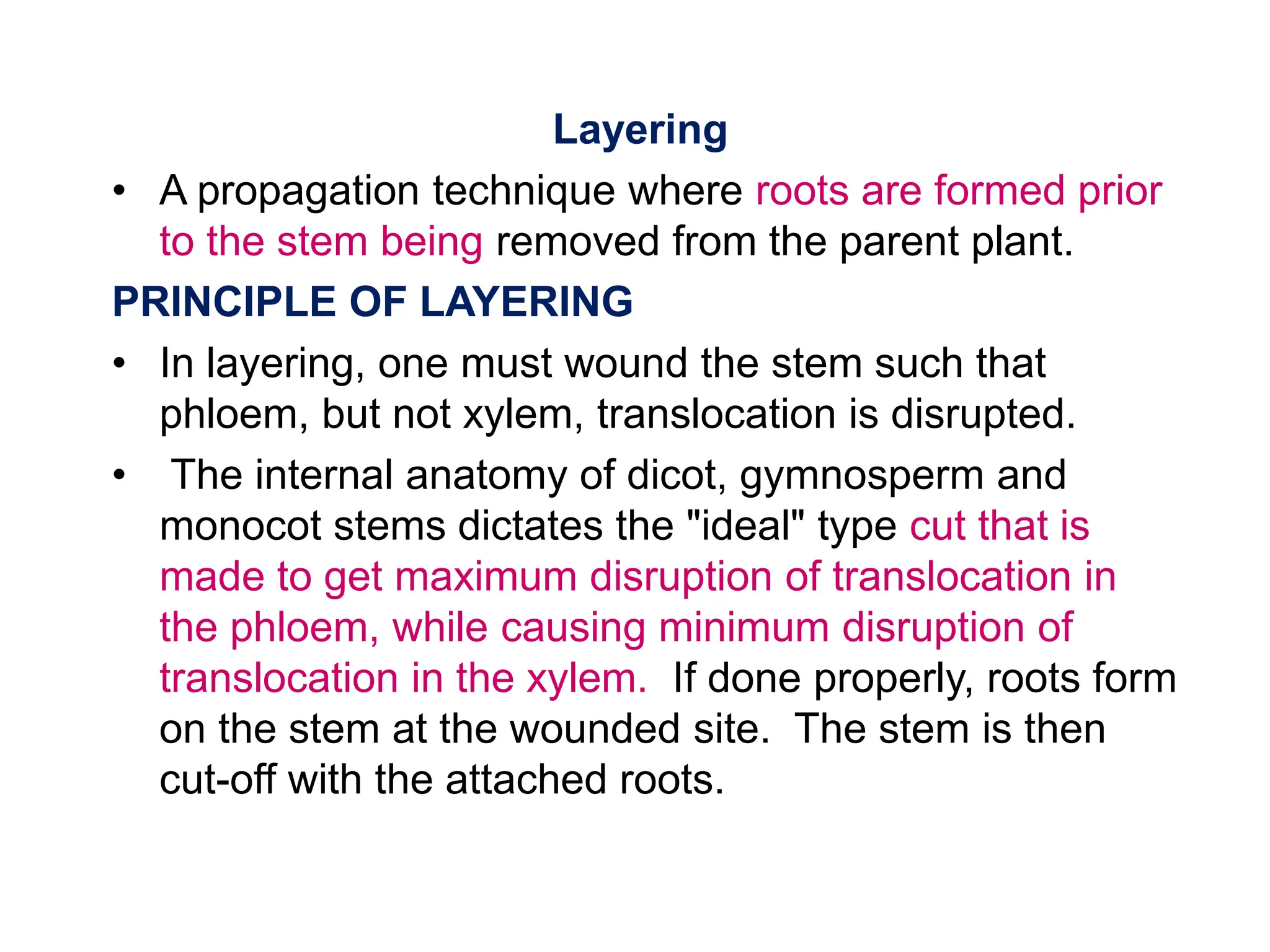 Different types of layering in Plants | PPTX