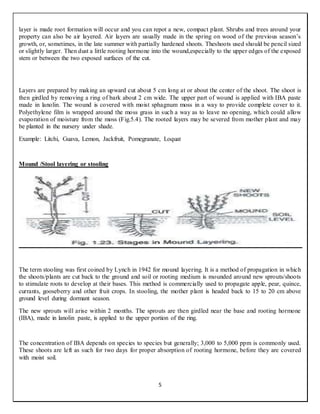 Layering[1] | DOCX