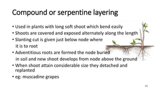 Layering principles and methods | PPTX