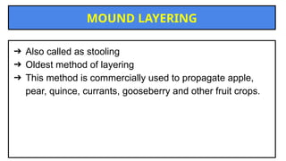 Moud Method LAYERING propagation shivanshkumawat.pptx
