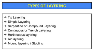 Compound Layering Method LAYERING propagation shivanshkumawat.pptx