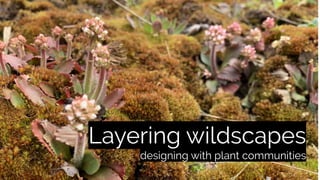 Layering wildscapes
designing with plant communities
 