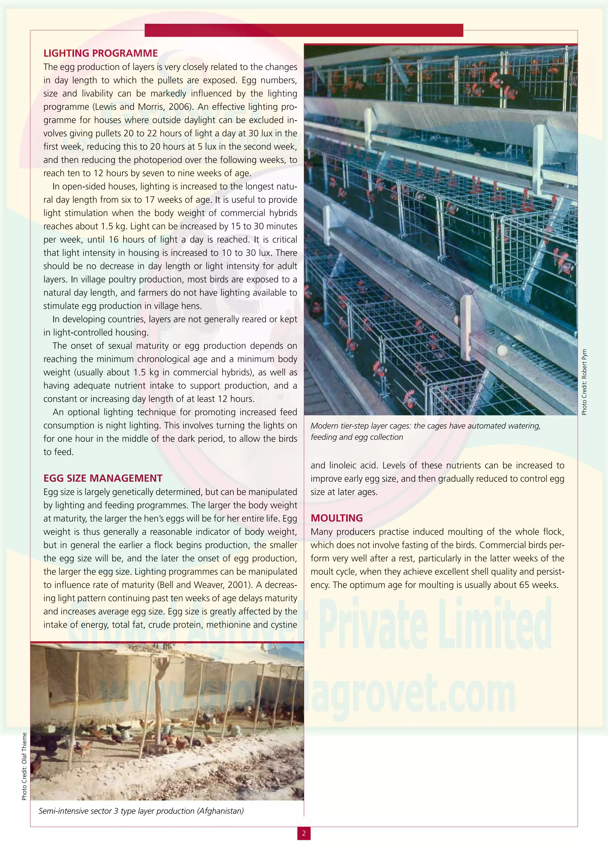 Layer Poultry Housing Management PDF