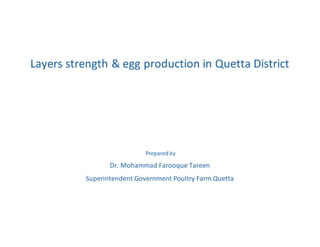 Layers strength & egg production in Quetta District
Prepared by
Dr. Mohammad Farooque Tareen
Superintendent Government Poultry Farm Quetta
 